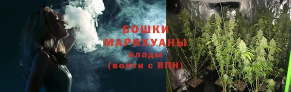 амф Инсар