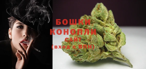 амф Инсар