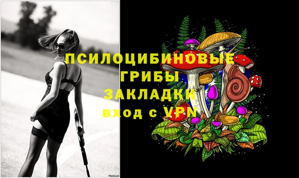 а пвп мука Каменка