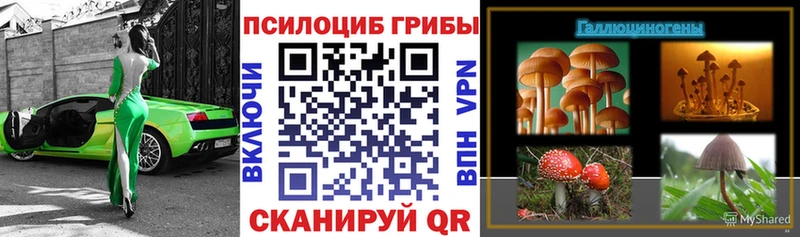 Псилоцибиновые грибы Psilocybine cubensis  Козьмодемьянск 